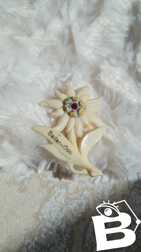 Broche vintage en celluloïd souvenir années 50/60 fleurs edelweiss