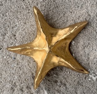 broche vintage en métal doré étoile de mer 1970's