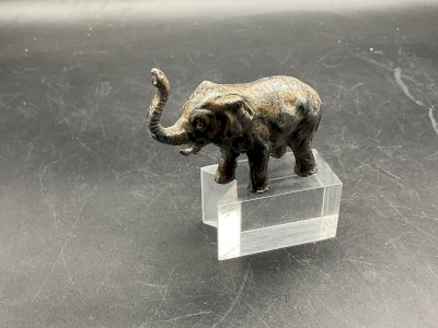 bronze de Vienne dlg Franz Bergmann , éléphant Plomb de Nuremberg .