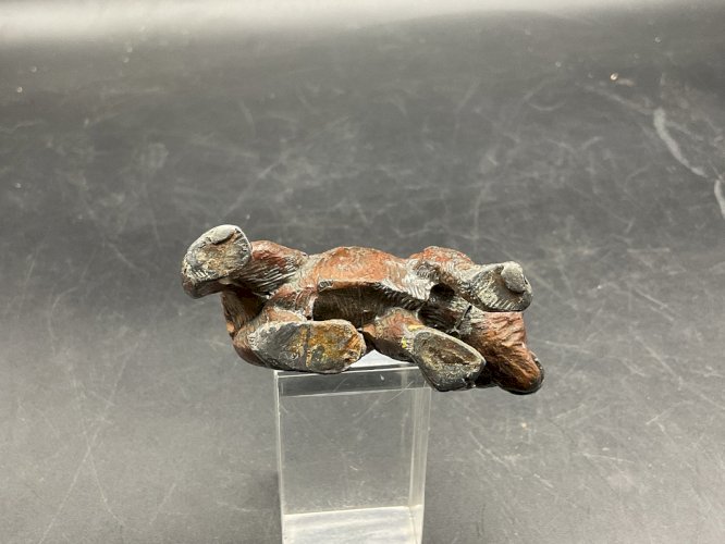 bronze de Vienne dlg Franz Bergmann , ours Plomb de Nuremberg .