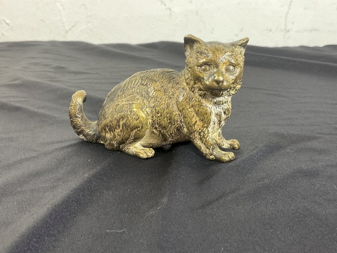 Bronze de Vienne  GESCHÜTZT  gros Chat , Chaton .