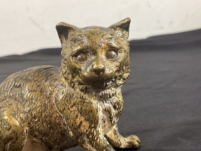 Bronze de Vienne  GESCHÜTZT  gros Chat , Chaton .