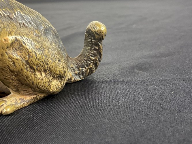 Bronze de Vienne  GESCHÜTZT  gros Chat , Chaton .