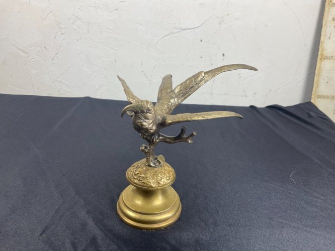 Bronze de vienne oiseaux  Frégate d’Andrews  XIXEME