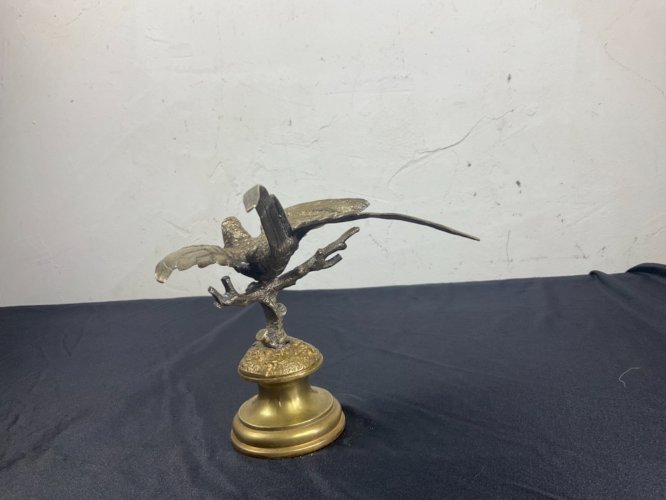 Bronze de vienne oiseaux  Frégate d’Andrews  XIXEME