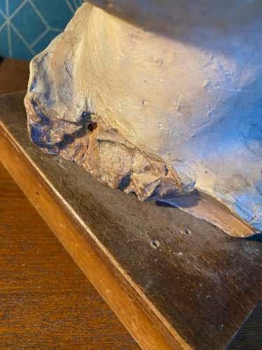 Buste en terre cuite XIXème. Etude d'un visage d'enfant attribué à Carpeaux.