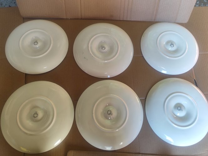  C neuf !1960/70 Salins France 6 assiettes à Huîtres 