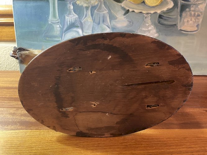 Cabinet de curiosités marcassin naturalisé ancien