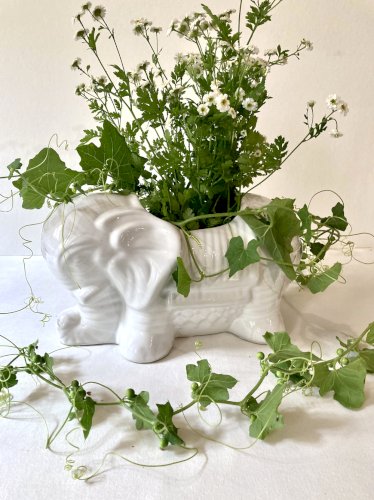 Cache-pot / jardinière éléphant en céramique