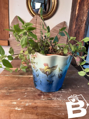 Cache pot signé de Bruyn en faïence ancienne