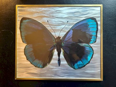 Cadre papillon années 70
