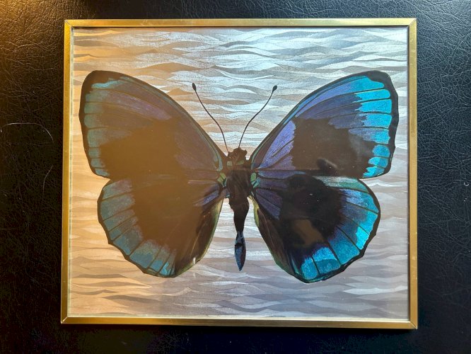 Cadre papillon années 70