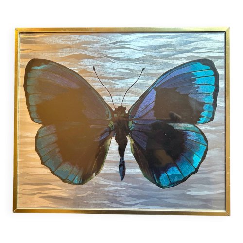 Cadre papillon années 70