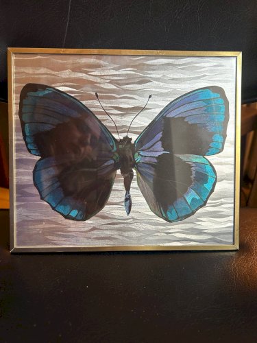 Cadre papillon années 70