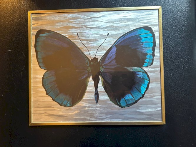 Cadre papillon années 70