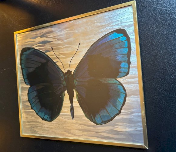 Cadre papillon années 70