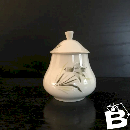 Cafetière et sucrier en porcelaine