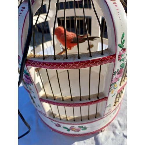 Cage à Oiseaux 19 éme en Faience de Lunéville