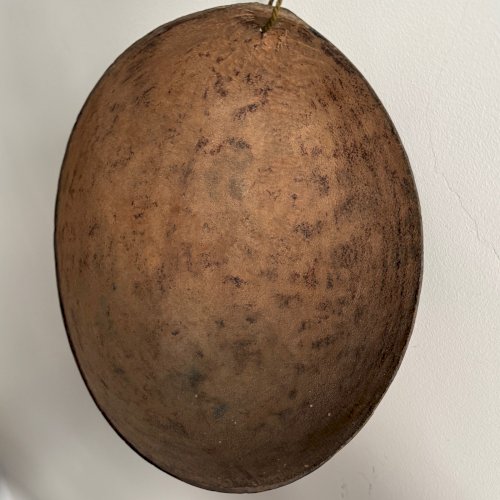 Calebasse noix sculptée fleurs guerrier Océanie début XXe M3899