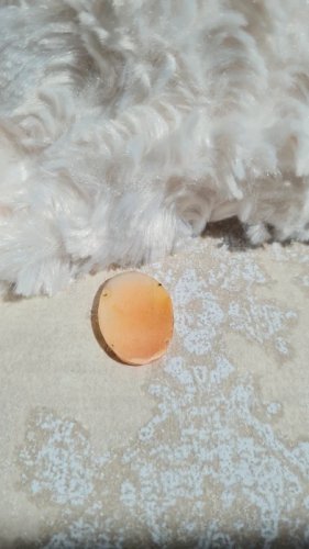 Camée ancien à monter