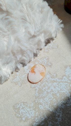 Camée ancien à monter