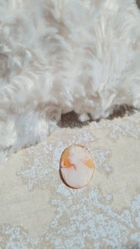 Camée ancien à monter