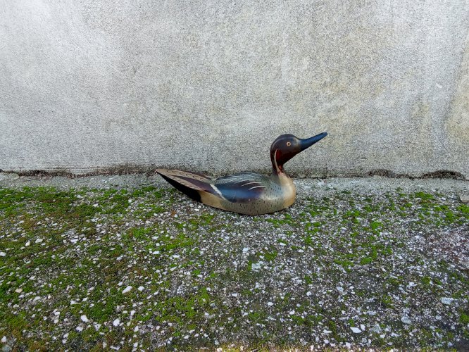 Canard ancien en bois peint.ancien appellant de chasse 
