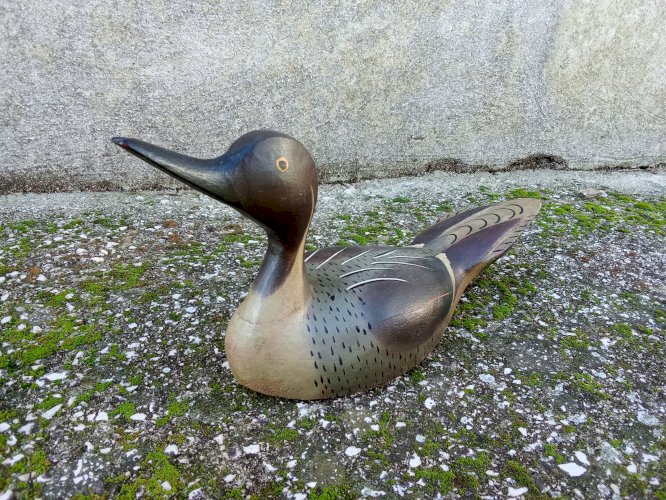 Canard ancien en bois peint.ancien appellant de chasse 