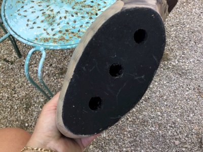 dot
