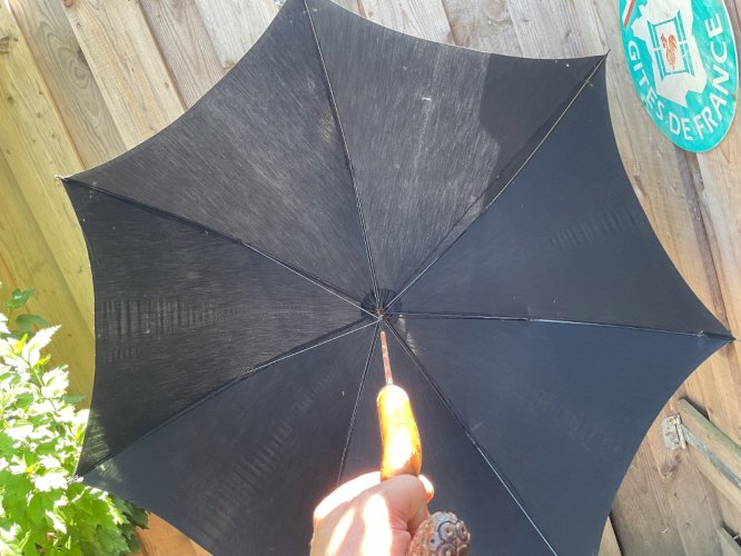 Canne à système parapluie bois pommeau antique cane XIXème