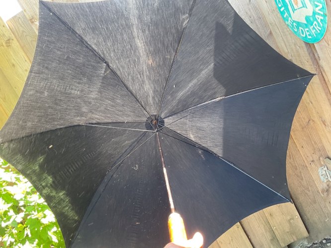 Canne à système parapluie bois pommeau antique cane XIXème