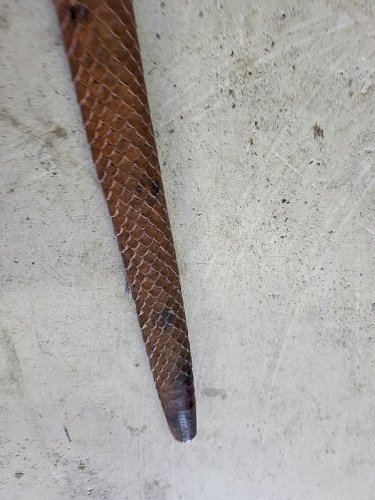 CANNE DE MARCHE EN BOIS SCULPTE D'UN SERPENT DATE DU 24/10/1899 MONOGRAMME "JE"