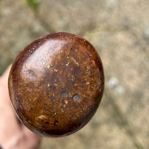 Canne en bois pommeau sculpté serpent Helling art populaire M3965