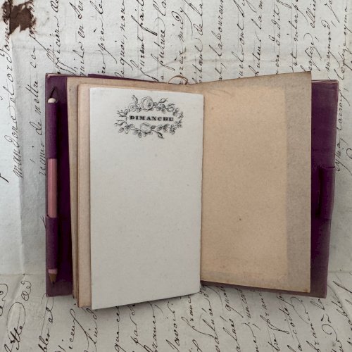 Carnet de bal en écaille ornementée de marqueterie XIXe Napoléon III M4092