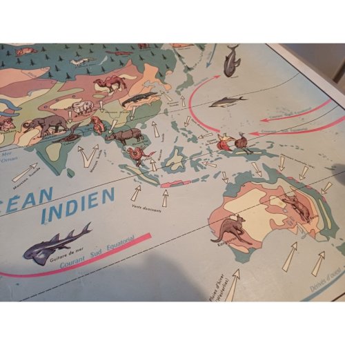 Carte Plastifié Planisphére de J.Anscombre