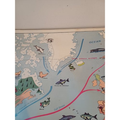 Carte Plastifié Planisphére de J.Anscombre