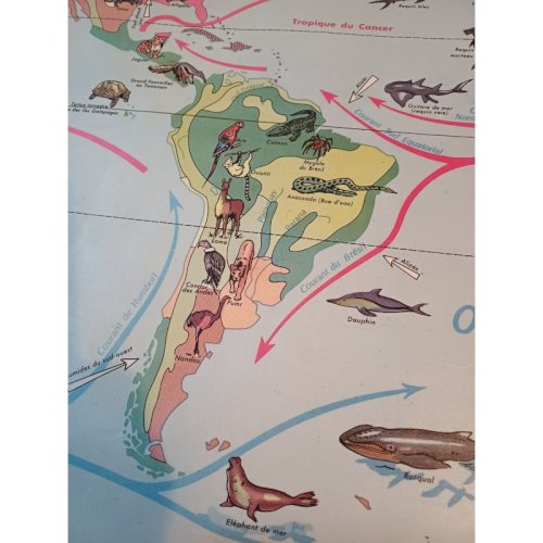 Carte Plastifié Planisphére de J.Anscombre