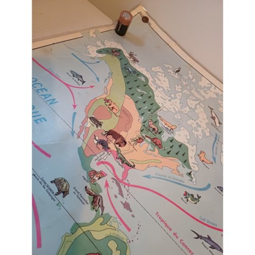 Carte Plastifié Planisphére de J.Anscombre