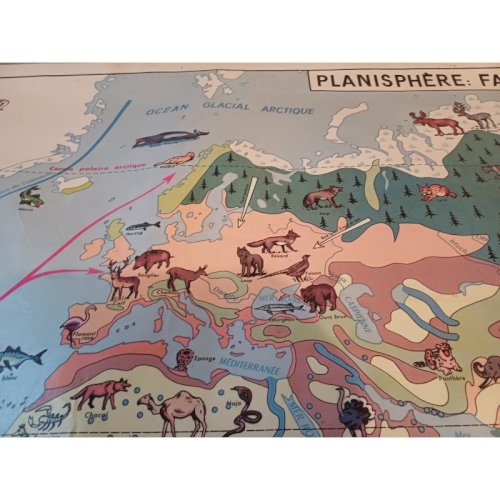 Carte Plastifié Planisphére de J.Anscombre