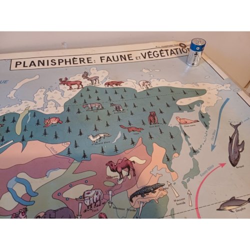 Carte Plastifié Planisphére de J.Anscombre