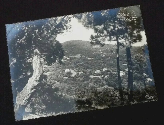 Carte postale ancienne Le Rayol (Var) Vue générale