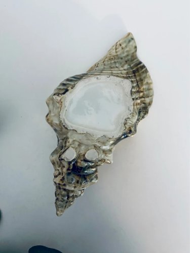Cendrier Coquillage Kitsch Vintage 70s - Vide-poche Conque Céramique