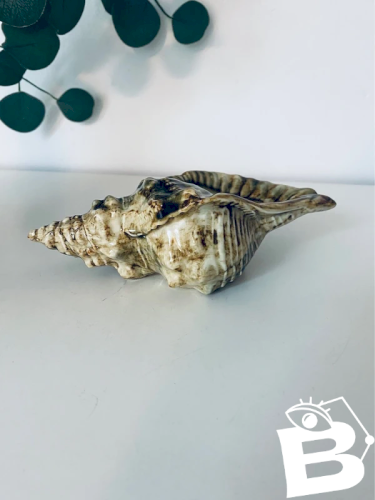 Cendrier Coquillage Kitsch Vintage 70s - Vide-poche Conque Céramique