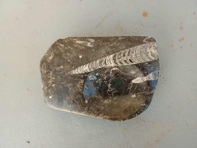 cendrier en pierre fossilisée, avec de jolies nuances naturelles .