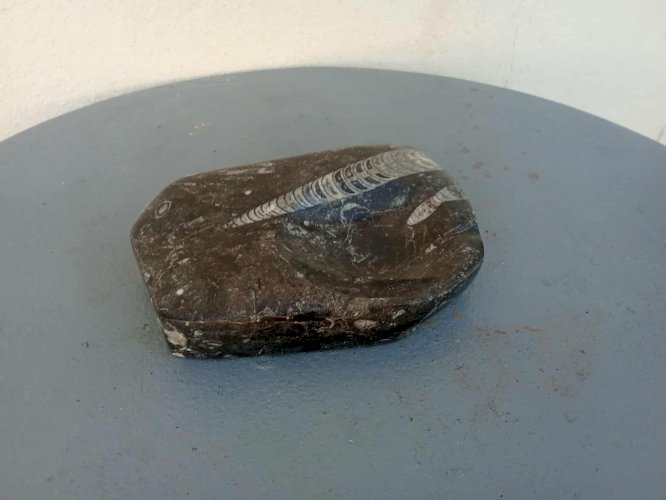 cendrier en pierre fossilisée, avec de jolies nuances naturelles .