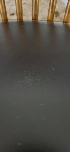 Chaise Menuet par Baumann, 1960