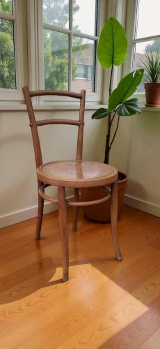 Chaise Ungvar en bois courbé, 1900