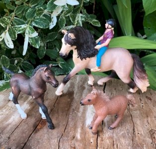 Horse, foals, and riders Schleich
