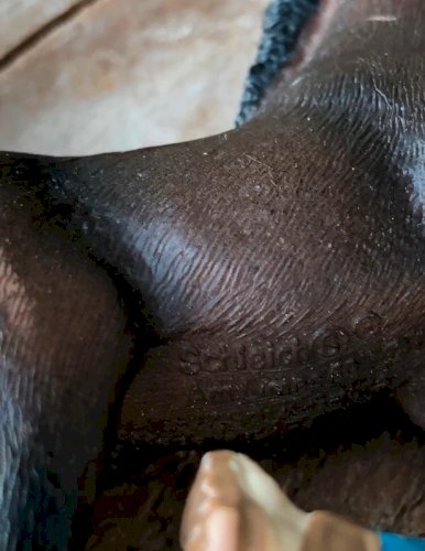 Cheval , poulains et cavalières Schleich