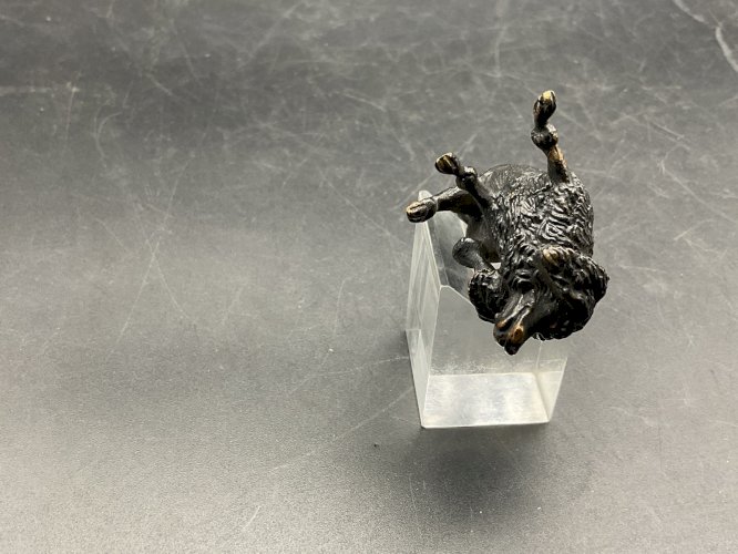 Chien bronze de Vienne  Austrian Wien cold painted  Dog